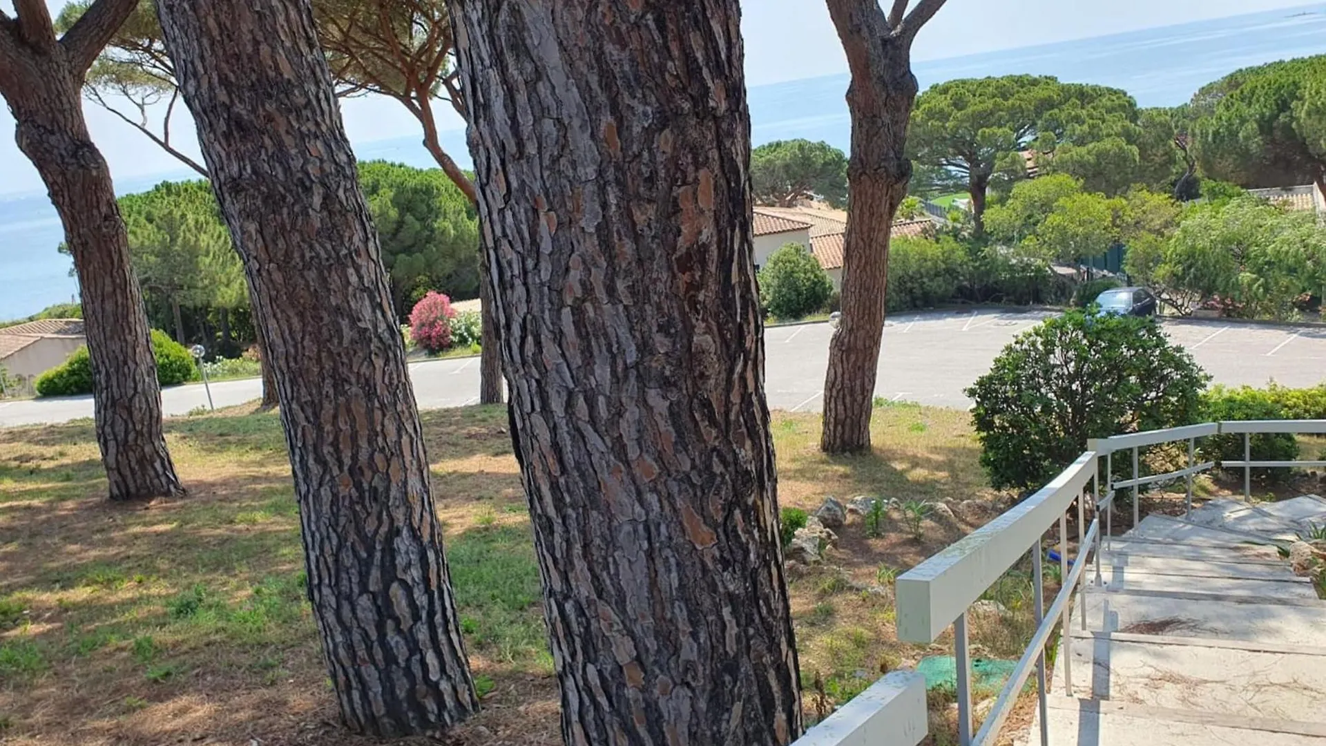 Beautiful Apartment With Pool In Sainte-Maxime France